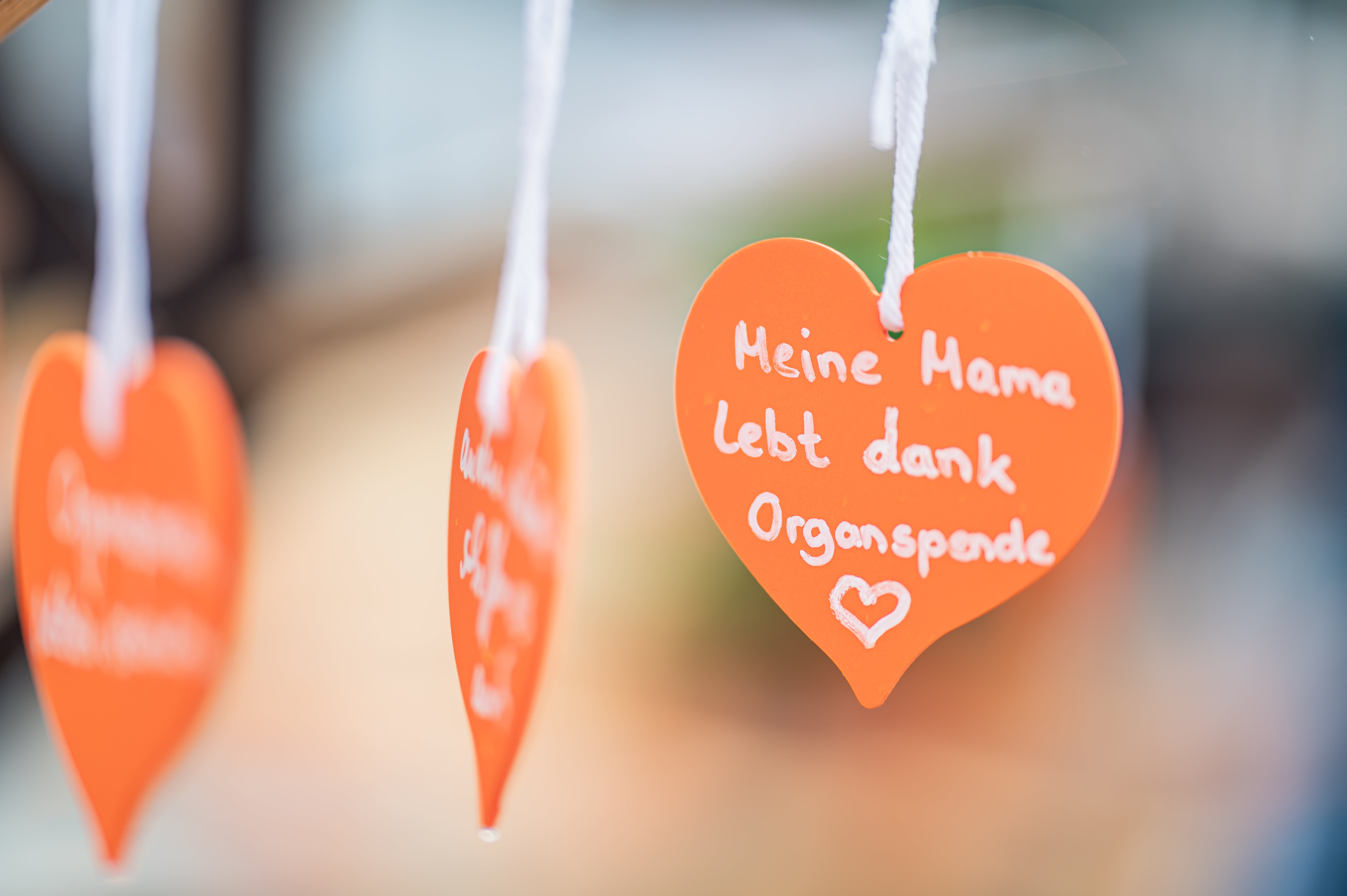 Dieses Foto zeigt den Schriftzug "Meine Mama lebt dank Organspende" beim Tag der Organspende 2025