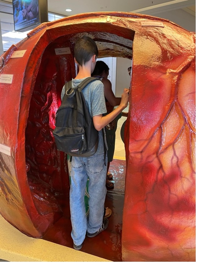 Das Bild zeigt eine Person, die durch ein überdimensionales Herzmodell läuft.