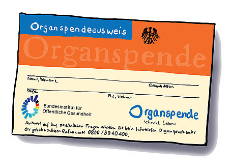 Diese Grafik zeigt den aktuellen Organspendeausweis vom Bundesinstitut für Öffentliche Gesundheit (BIÖG).