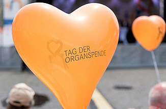 Zu sehen ist ein orangefarbener Herzballon auf dem „Tag der Organspende" steht.