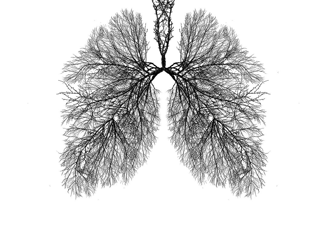 Es handelt sich um eine schwarz-weiße Illustration, die einen Baum bzw. Äste in Form einer Lunge zeigt.