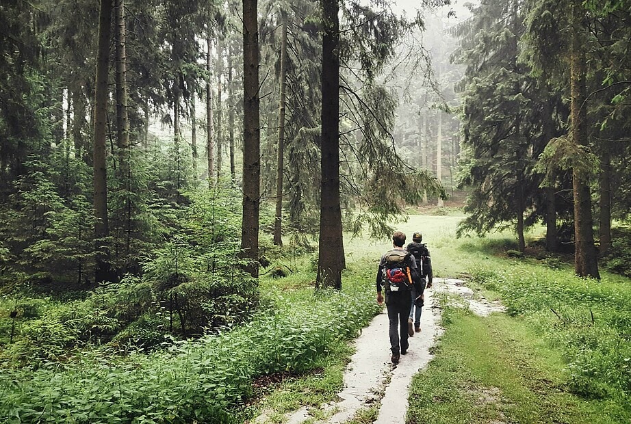 Zwei Menschen gehen im Wald wandern. Man sieht sie von hinten, sie tragen Wanderkleidung und Rucksäcke.