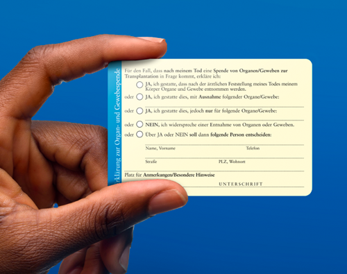 Ein Organspendeausweis wird zwischen einem Zeigefinger und Daumen gehalten. Die Rückseite des Ausweises wird in die Kamera gehalten. Der Hintergrund ist blau.